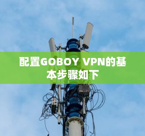 配置GOBOY VPN的基本步骤如下