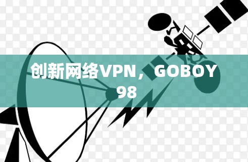 创新网络VPN,GOBOY 98 创新网络VPN,GOBOY 98
