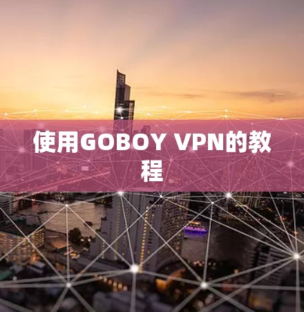 使用GOBOY VPN的教程