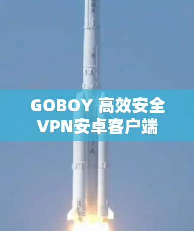 GOBOY 高效安全VPN安卓客户端