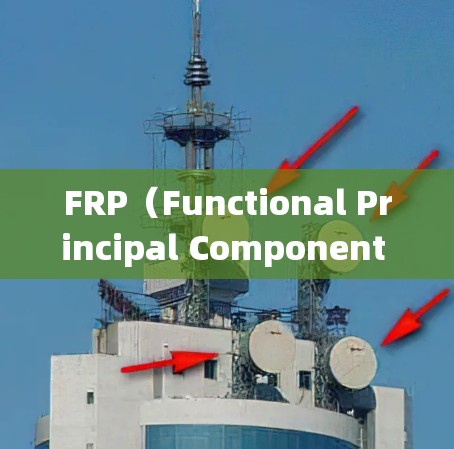 FRP（Functional Principal Component Analysis，功能主成分分析）是一种统计方法，用于分析和降维功能或曲线数据。以下是详细的使用步骤