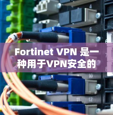 Fortinet VPN 是一种用于VPN安全的软件工具，它通过加密和多因素认证来保护数据。如果你需要替代Fortinet VPN，可以选择以下方案