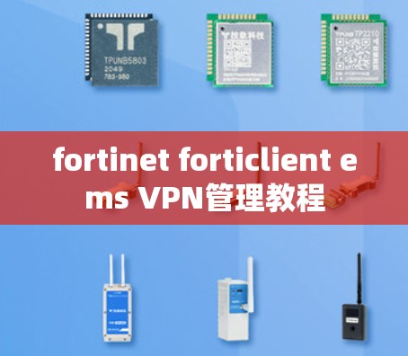 fortinet forticlient ems VPN管理教程