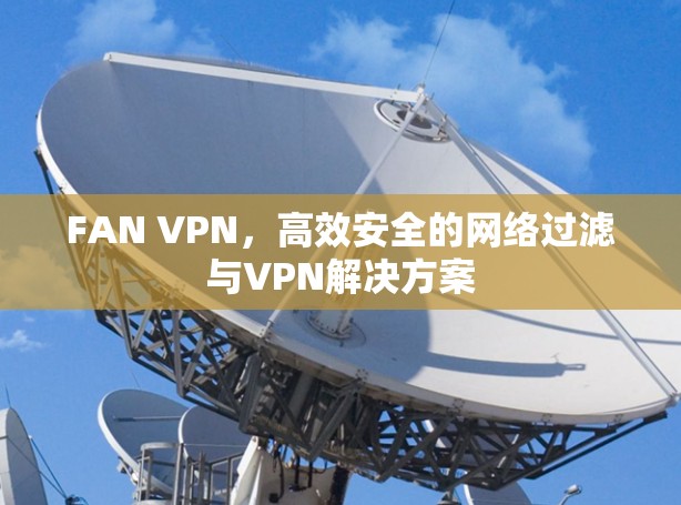 FAN VPN，高效安全的网络过滤与VPN解决方案