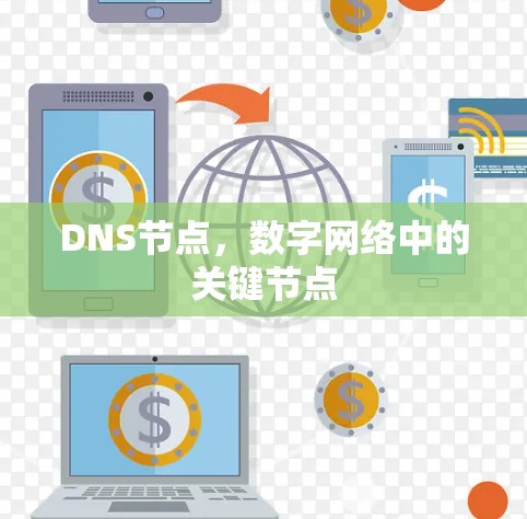 DNS节点，数字网络中的关键节点