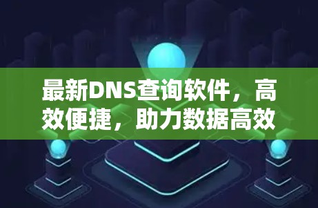 最新DNS查询软件，高效便捷，助力数据高效流动