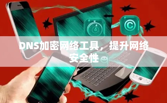DNS加密网络工具,提升网络安全性 DNS加密网络工具,提升网络安全性