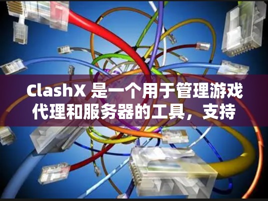ClashX 是一个用于管理游戏代理和服务器的工具，支持多种代理类型和配置。以下是ClashX代理配置的步骤指南