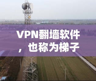 VPN翻墙软件,也称为梯子类型,是用来连接用户和服务器的软件,通常支持在不同设备上运行。以下是几个知名的VPN梯子平台推荐,涵盖功能、安全性和设备兼容性等方面 VPN翻墙软件,也称为梯子类型,是用来连接用户和服务器的软件,通常支持在不同设备上运行。以下是几个知名的VPN梯子平台推荐,涵盖功能、安全性和设备兼容性等方面