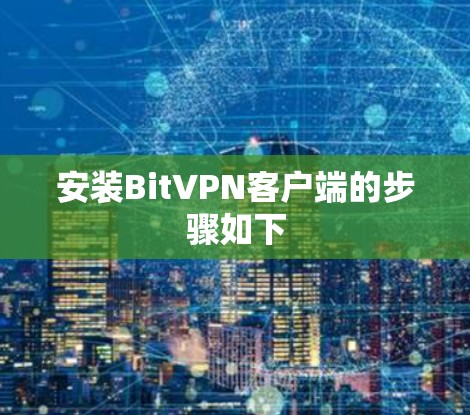 安装BitVPN客户端的步骤如下