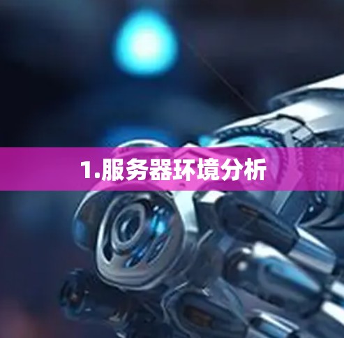 1.服务器环境分析
