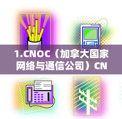 1.CNOC（加拿大国家网络与通信公司）CNOC 是一个知名的 VPN 节点，提供从美国到加拿大、英国等地区的 VPN 服务。AtomVPN 有时会与 CNOC 合作，提供 离线 VPN 服务