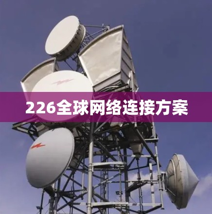226全球网络连接方案