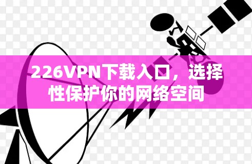 226VPN下载入口，选择性保护你的网络空间