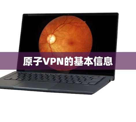 原子VPN的基本信息