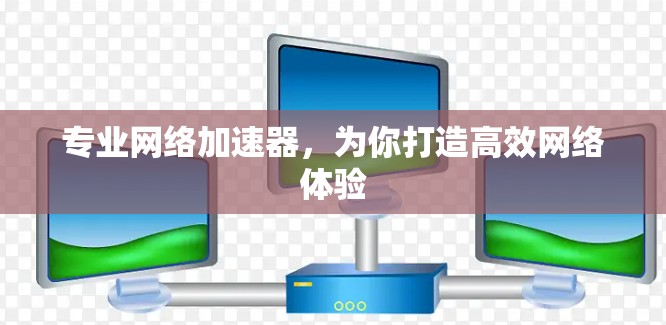 专业网络加速器，为你打造高效网络体验