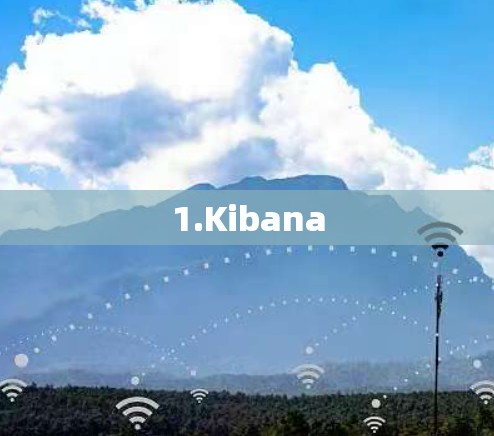 1.Kibana