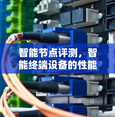 智能节点评测，智能终端设备的性能与安全挑战
