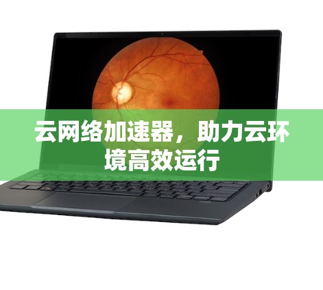 云网络加速器，助力云环境高效运行