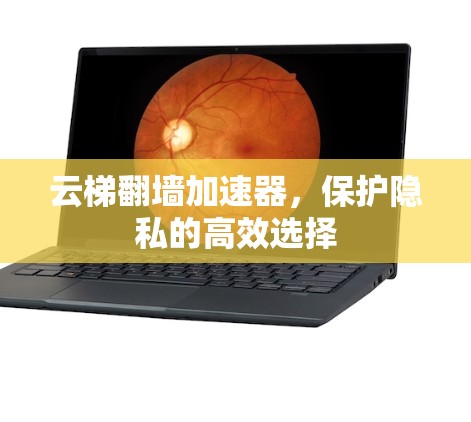 云梯翻墙加速器，保护隐私的高效选择