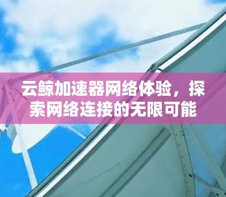 云鲸加速器网络体验，探索网络连接的无限可能
