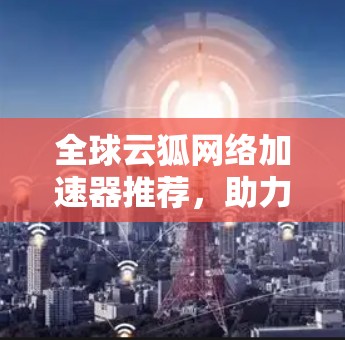 全球云狐网络加速器推荐，助力您的网络高效流畅