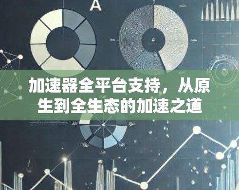 加速器全平台支持，从原生到全生态的加速之道