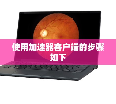 使用加速器客户端的步骤如下 使用加速器客户端的步骤如下